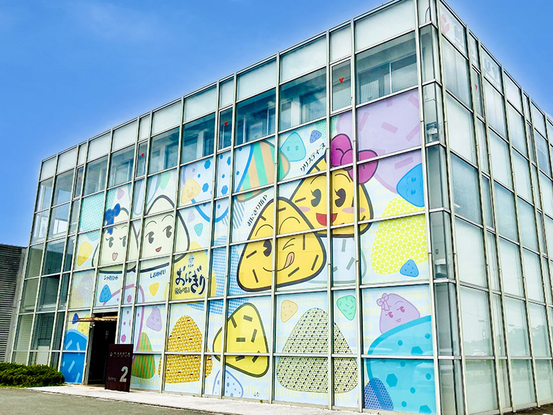 IX Holdings Co., Ltd.