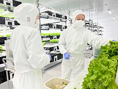 株式会社日商 Nissyo-Farm